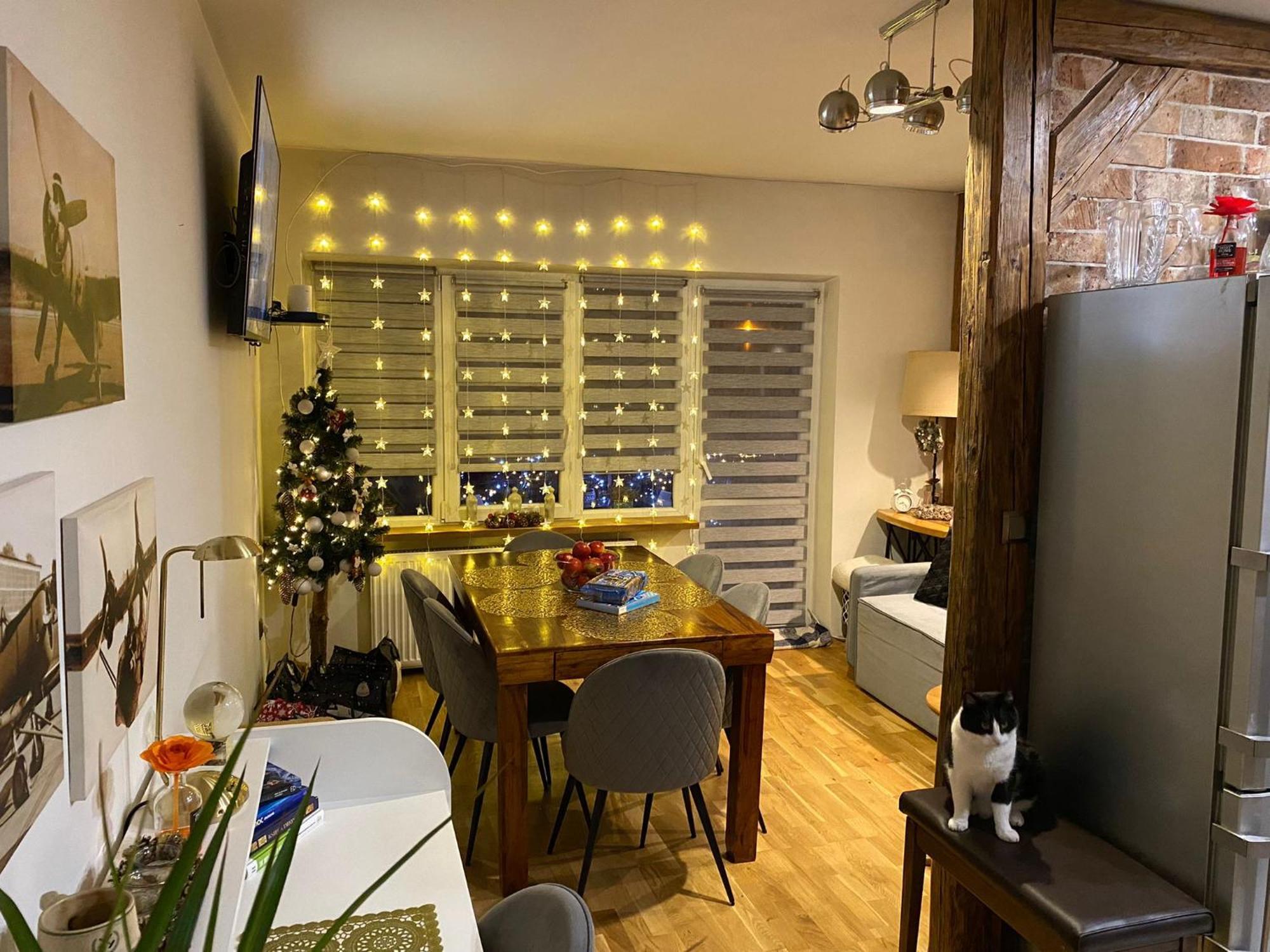 Apartament Centrum Nowa Ruda Extérieur photo